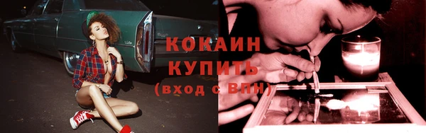мяу мяу мука Пестово