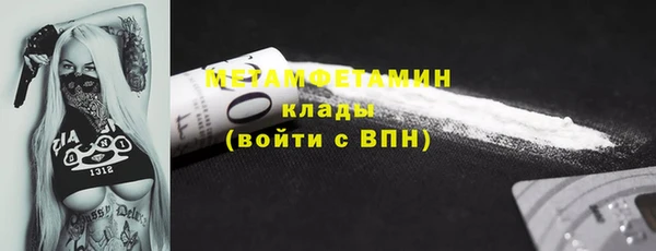 прущие грибы Осташков