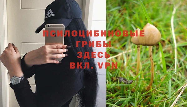 дистиллят марихуана Пересвет