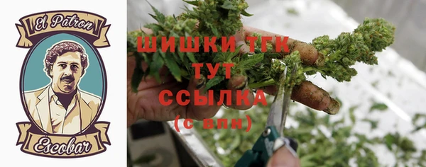 герыч Гатчина