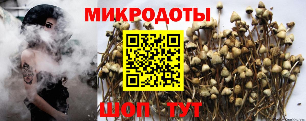 Галлюциногенные грибы MAGIC MUSHROOMS Североуральск